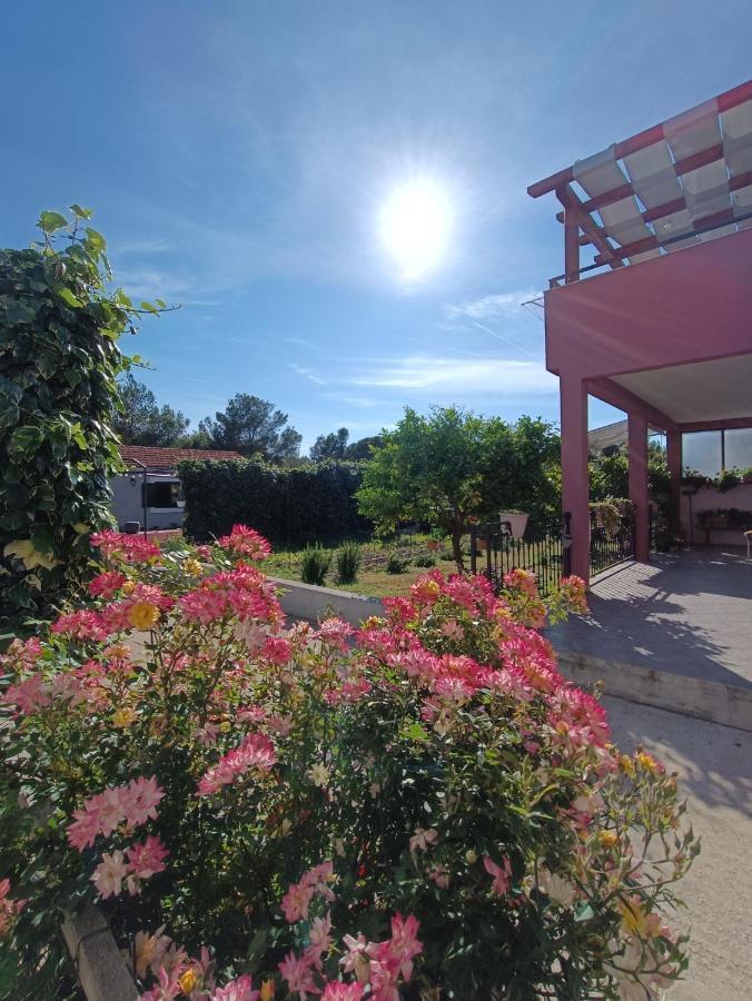 Ferienwohnung Apartman Brigita Weißenburg Exterior foto